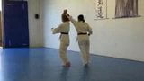 HAPKIDO LA-QUANFA AIKIDO snapshot 14