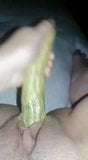 Cucumber pussy sex snapshot 2