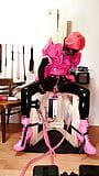 Strapped to Fucking Machine Before Breakfast - Sissy Maid snapshot 4