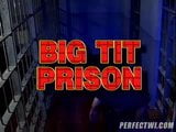 big tits in prison snapshot 1