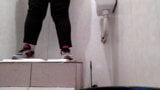 Hot milf pissing in public toilet snapshot 2