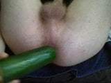 anal vegetable snapshot 1