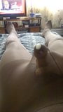 jerkin off in pantyhose session (2) snapshot 4