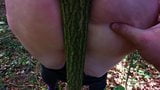 Ass spanked with a tree trunk in the crack snapshot 8