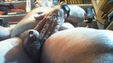 Big Daddy Wank snapshot 8