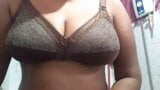 Indian Aunty Has Beautiful Big Boobs snapshot 1