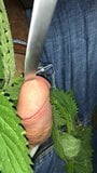 Just4YouAndMe:  Nettle, knive and dick snapshot 2