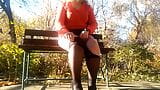 Comment une MILF sexy et pulpeuse se masturbe sur un banc dans un parc d'automne snapshot 2