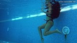 Small tits Latina babe Andreina De Luxe under water snapshot 9