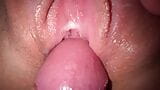 Lik stiefzus poesje, close -up neuken en cumshot wrijven snapshot 6