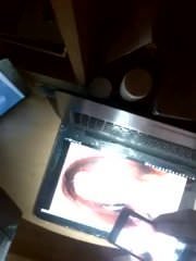 Pocta tiny-linda