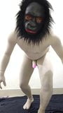 Zentai penis monkey gorilla mask jerk off snapshot 2