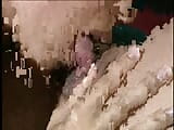 De jolies salopes asiatiques lesbiennes plongent et massent la chatte snapshot 3