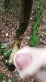 Wank in the woods and cum on a tree snapshot 9