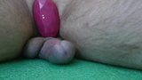 Prostata-Massage-Orgasmus, Sperma melken snapshot 3