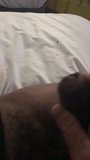 Shemale cumshot snapshot 1