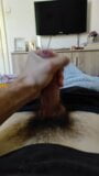 Long Hairy Croatian Cock Cum snapshot 7