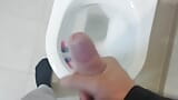 Masturbation en solo dans les toilettes snapshot 7