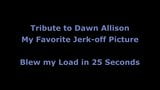 Tributo a Dawn Allison snapshot 2