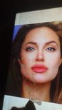 Tribute # 2 - Angelina Jolie snapshot 4