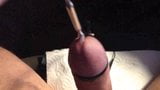 Estim Pulsing Sounding Dick snapshot 2