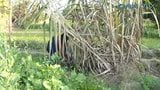 Village life billo hote video snapshot 10