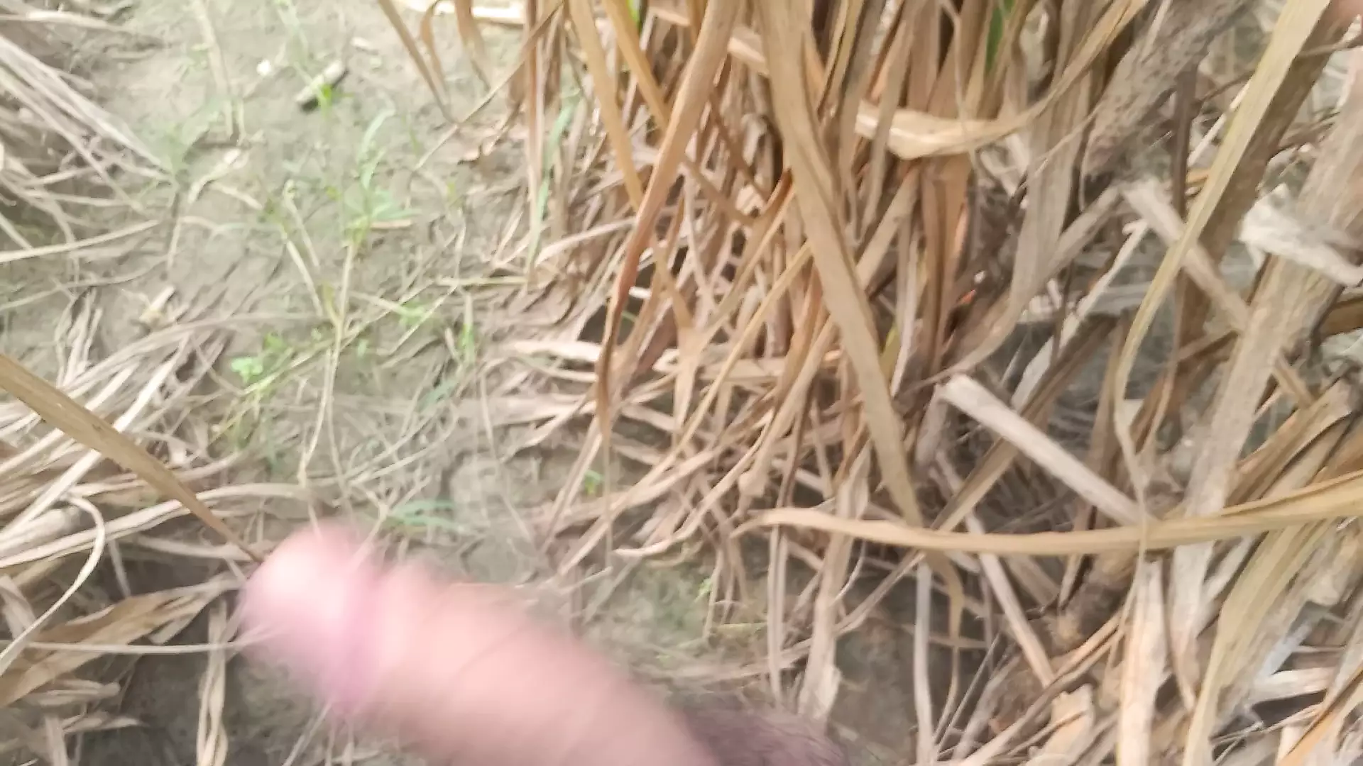 Sparare video all'aperto gay ragazzo asiatico