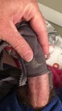 Wife’s dirty panties snapshot 4