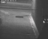 Slag caught on CCTV having a piss after night out snapshot 2