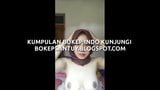 Indonesia hijab susu gede sange berat by bokepsantuy snapshot 1