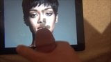 Rihanna Tribute snapshot 4