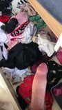 Cum in young panty drawer snapshot 5