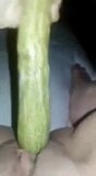 La mia figa adora il cetriolo snapshot 5