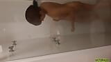 Je prends une douche après avoir éjaculé sur ma bite snapshot 2