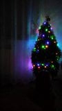 My christmas tree snapshot 2