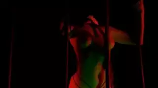 Crazy Horse in Paris - Full Show: French Public Nudity Porn | xHamster