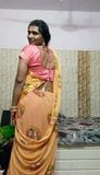 Purvi travestiet in saree snapshot 2