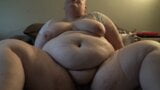 Tour de cuerpo gordo con top corto de encaje snapshot 10