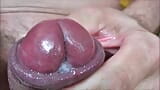 CBT Extreme Ball Pain and Ball Squeezing and Jerk Off in Close Up with Cumshot at 8:05 snapshot 16