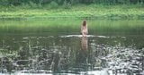 Russe se baigne nue dans la riviere snapshot 5