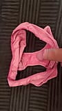 Small penis plays with neighbor's found worn panties snapshot 3