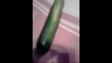 gallega metiendose un pepino part 1 snapshot 4