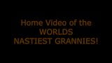 Home Video of the World's Nastiest Grannies snapshot 1