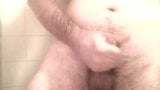 Brief Shower snapshot 14