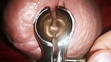 Speculum Inside My Cock Hole Made Me Cum snapshot 8