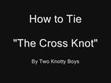 Cross Knot snapshot 2