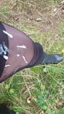 The hooker sperm sprayed on the pantyhose snapshot 9