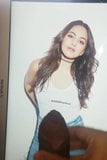 Sonakshi Sinha Hot Cum Tribute snapshot 2