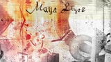 Maya liyer - dom dla niewolników snapshot 1