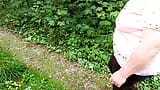 Tits, ass and pussy hard spanking while having picnic snapshot 2
